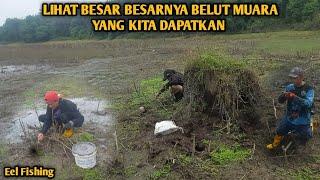 SPOT MUARA MENYURUT LANGSUNG TERANGKAT BELUT BELUT TERBESARNYA