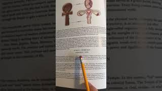 Egyptian Ankh | Book of Wisdom Vol. 2 Preview  #spiritualawakening 