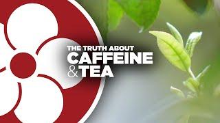 How much CAFFEINE is in TEA?