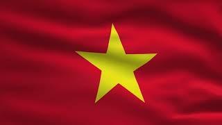 Vietnam Flag Animation | 8k | Flags of the World