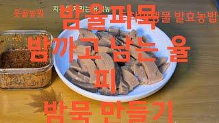 이젠 밤 율피 버리지 마세요 밤묵만들기