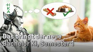 So startet der neue Studiengang | KÜNSTLICHE INTELLIGENZ | KI | Semester 1 | Bachelor