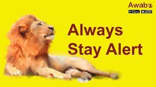 Always Stay Alert | English Stories | Awabe