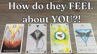 Their CURRENT FEELINGS for You!? 🫢 Pick A Card Love Tarot Reading *DETAILED