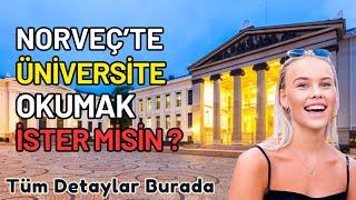 YURTDIŞINDA ÜNİVERSİTE OKUMAK: Nasıl Başvurulur? #norveç #üniversite#vlog