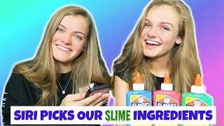 SIRI Picks Our Slime Ingredients Challenge ~ Jacy and Kacy