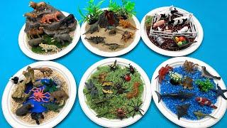 6 Type Small World In 6 Tray | Wild Safari Farm Diorama For Animal