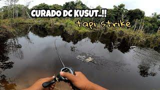 curad0 dc backlash fishing