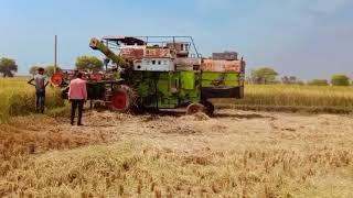 Vishal 435 combin is very powerful harvester  urban farmer  urban