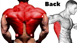 The Best 5 Exercises for Thick and Bigger Back Development