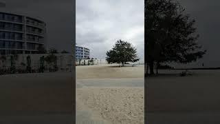 The beach in Odessa early in the morning #beach #nature