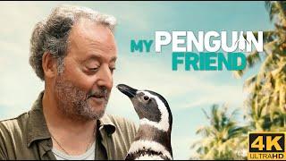 MY PENGUIN FRIEND (2024) Trailer [4K Ultra HD] | Encoded Trailers | RoadsideFlix.