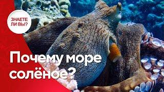  Почему море соленое?