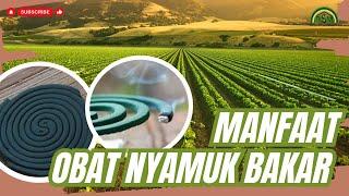 TERNYATA OBAT NYAMUK BAKAR BISA DIJADIKAN PUPUK  #bayudiningrat #pelatihanbsm B5