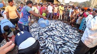 Рыбный рынок в Индии. Горы рыбы и тысячи голодных людей. Fish Market Mumbai #27