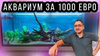 Запуск аквариума на песке БЕЗ ФИЛЬТРА и АЭРАЦИИ! Juwel Rio 240 за 1000€ - ШОК! 4К