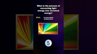 What is the process of converting light energy into chemical energy? #science #facts #quiz