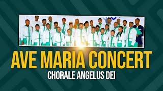 Ave Maria Concert (Chorale Angelus Dei)