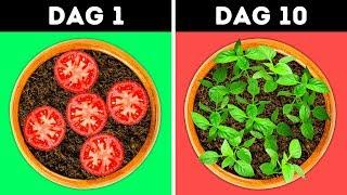 22 GENIALE IDEEËN VOOR UW TUIN