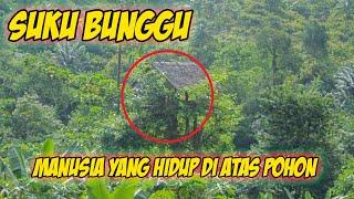 Suku Bunggu - Manusia Yang Hidup Di Atas Pohon | TRASI #2 Travelog Sinau TV