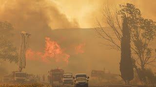 Лесные пожары бушуют на юго-западном побережье Турции