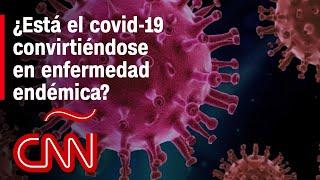 A dos años del inicio de la pandemia, ¿podría  el covid-19 convertirse en una enfermedad endémica?