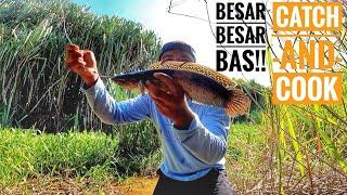 Hutan Lubuk Ikan Bujuk Catch and Cook!!