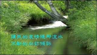 史逸欣 - 綠島小夜曲/Vienna Teng - Green Island Serenade