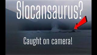 Lake Monster - Slocansaurus caught on camera! (real)