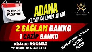 22 Ekim 2024 Salı Adana At Yarışı Tahminleri