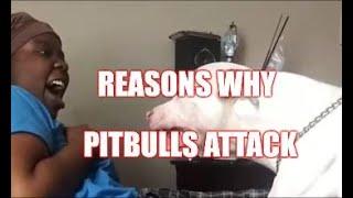 Reasons Why Pitbulls Attack (with dogsbite.org)