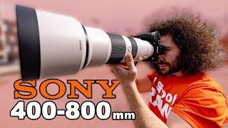 SONY 400-800mm f6.3-8 REVIEW: The ULTIMATE “Budget” Birding / Wildlife ZOOM Lens?! (vs Sony 200-600)