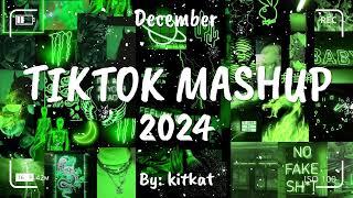 TIKTOK MASHUP DECEMBER 2024 (NOT CLEAN) 