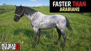 4 Horses faster than Arabains & How to obtain them - Red Dead Redemption 2