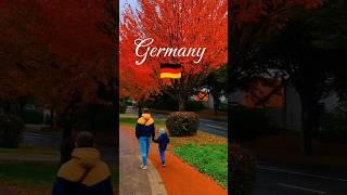  Germany. Very beautiful autumn. Очень красивая осень#поздниепереселенцы#жизньвгермании