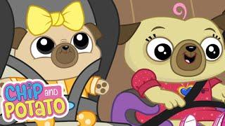 Chip and Potato | Chip's School Trip // Big Sister Chip | Cartoons For Kids | Watch More on Netflix