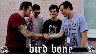 BIRD BONE - ПРО: EMO В РОССИИ 2007 vs 2024 | ЗАПИСЬ АЛЬБОМА | ЛЮБИМЫЕ ГРУППЫ | ЛЕЙБЛ PUNK FICTION