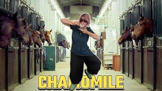 Chamomile - Gangnam Style Parody Song for us Older Ones!