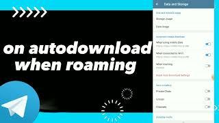 How To turn On autodownload When Roaming On Telegram App