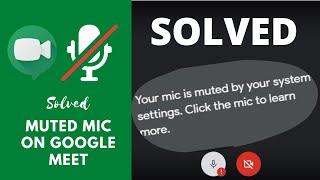 SOLVED: How to Reset your Microphone Muted by your System Settings on Google Meet