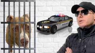 Are dogs pets or prisoners?