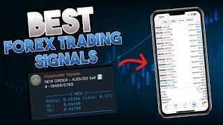 The BEST Forex Signal Channel I've Tested (+$2,200 April) | With Payout