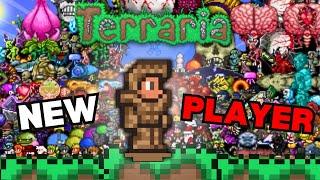 NEWBIE attempts Terraria playthrough with ZERO Knowledge