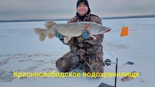 Зимняя рыбалка в Беларуси 2021-2022 . Ловля щуки на Краснослободском водохранилище ......