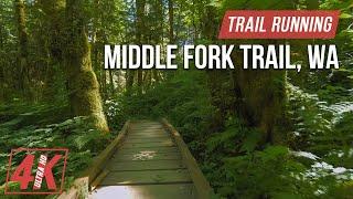 Trail Running along Middle Fork Trail - 4K Virtual Forest Run for Treadmill Workout (Nature Sounds)