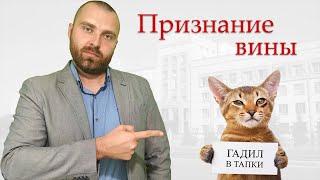 Стоит ли признавать вину в уголовном деле?