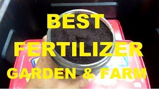 WHICH FERTILIZER TO USE | BEST SOIL FERTILIZER & FOLIAR