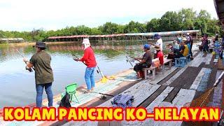 Pertandingan Memancing di Kolam Pancing Ko Nelayan Kg Laya-laya, Tuaran | Fishing Tournament