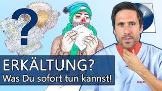 Auch erkältet? Wichtige Tipps & Soforthilfe bei Husten, Schnupfen, Heiserkeit und dann noch Fieber!