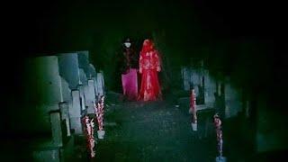 20 Nights in the Cemetery Scary Supernatural Video 20240311 13 14 2